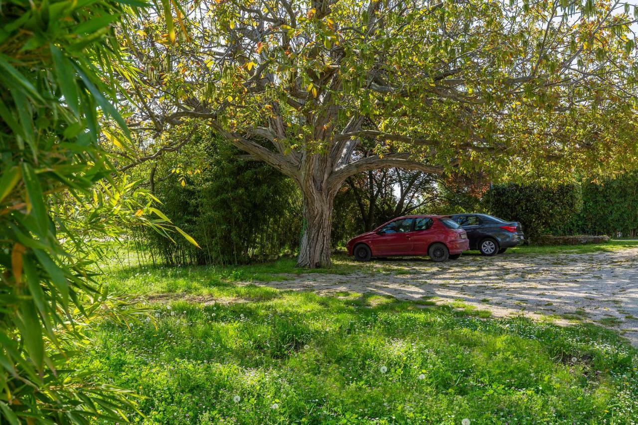 Apartments Rita Пореч Екстер'єр фото